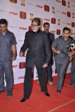 Amitabh Bachchan at Stardust Awards 2013 red carpet in Mumbai on 26th jan 2013 (532).JPG